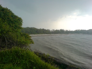 benteng lodewijk terletak di pantai utara P.Jawa yang dikelilingi hutan bakau